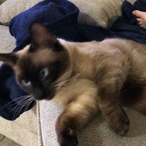 Meet your Posher, Bbrad